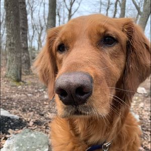 Meet your Posher, Maggie